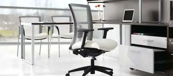 Vion Office Chair, Office Furniture North York, Toronto