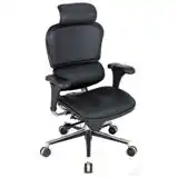 Ergohuman V1 Chair, 