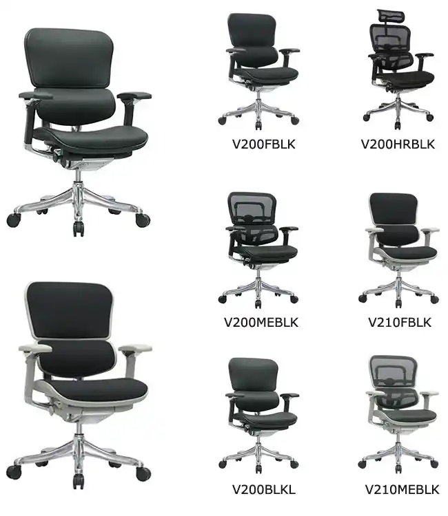 Ergohuman V2 Chair, Office Seating, North York, Toronto